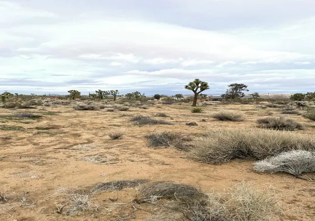 Photo 3 of Land for sale at 58383 Beaver Tail Ln, Yucca Valley, CA 92284 | MLS# 219145913DA | Listing updated on 2026-04-06