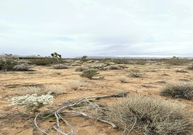 Photo 4 of Land for sale at 58383 Beaver Tail Ln, Yucca Valley, CA 92284 | MLS# 219145913DA | Listing updated on 2026-04-06