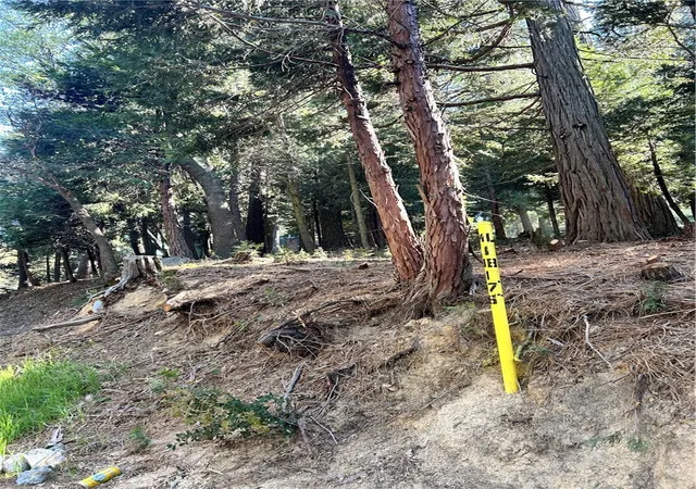 2nd image of 0 Forest Vw, Arrowhead, Twin Peaks, CA 92391 | MLS# IG26073516
