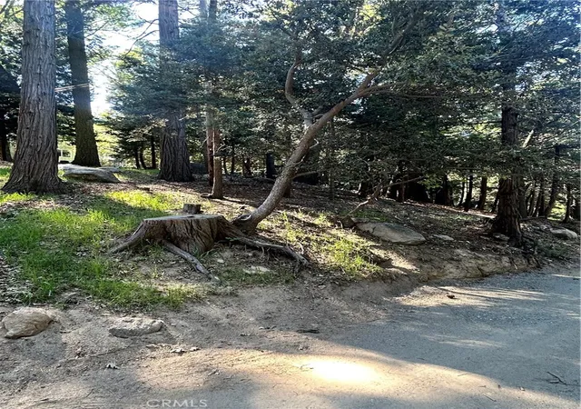 3rd image of 0 Forest Vw, Arrowhead, Twin Peaks, CA 92391 | MLS# IG26073516