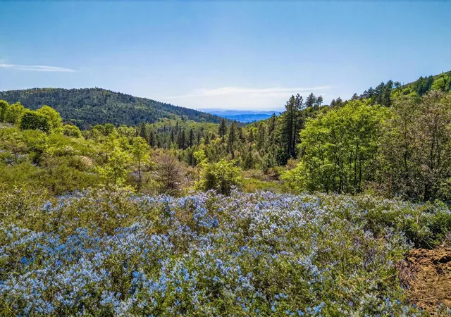 Photo 1 of Land for sale at 200 +/  Acres Palomar Div Truck Trl, Palomar Mountain, CA 92060 | MLS# NDP2603286 | Listing updated on 2026-05-22