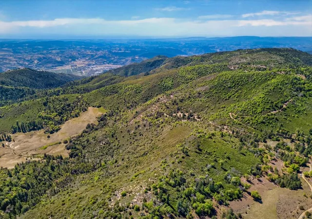 Photo 3 of Land for sale at 200 +/- Acres Palomar Div Truck Trl, Palomar Mountain, CA 92060 | MLS# NDP2603286 | Listing updated on 2026-05-22