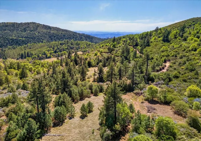Photo 4 of Land for sale at 200 +/- Acres Palomar Div Truck Trl, Palomar Mountain, CA 92060 | MLS# NDP2603286 | Listing updated on 2026-05-22