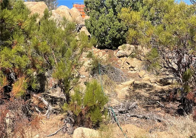 2nd image of 44813 Broken Wheel, Anza, CA 92539 | MLS# SW26074028