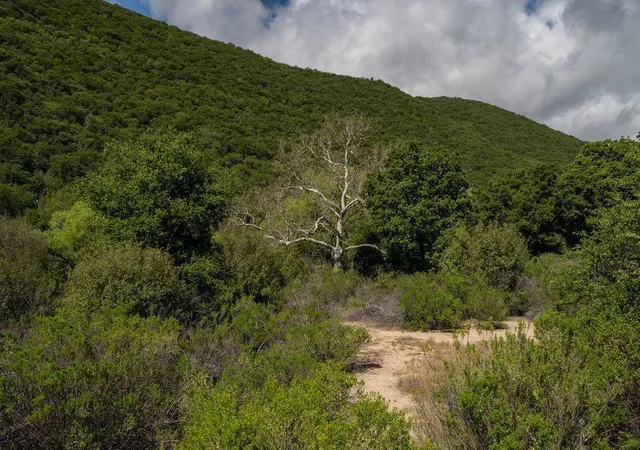 28th image of 43575 Carmel Valley Rd, Greenfield, CA 93927 | MLS# ML82041834