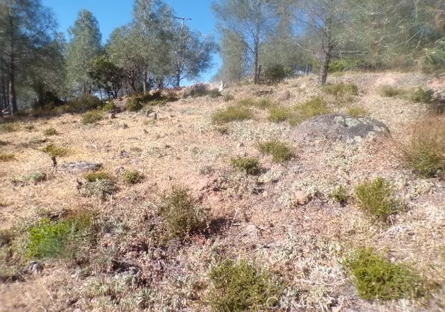 Photo 2 of Land for sale at 10070 El Capitan Way, Kelseyville, CA 95451 | MLS# LC26074297 | Listing updated on 2026-09-29