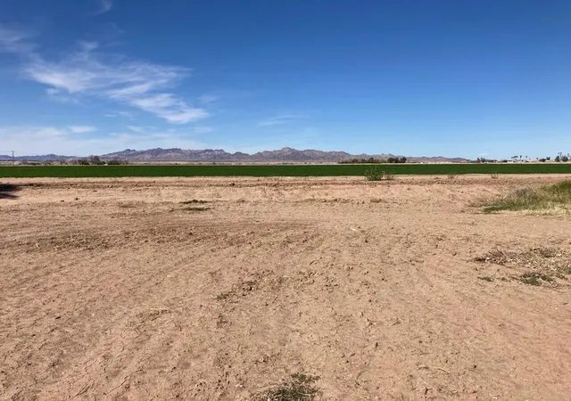 Homes for sale in Blythe, CA | 11408 Desert Trailways Ln, Blythe, CA 92225 | MLS# 219145995DA