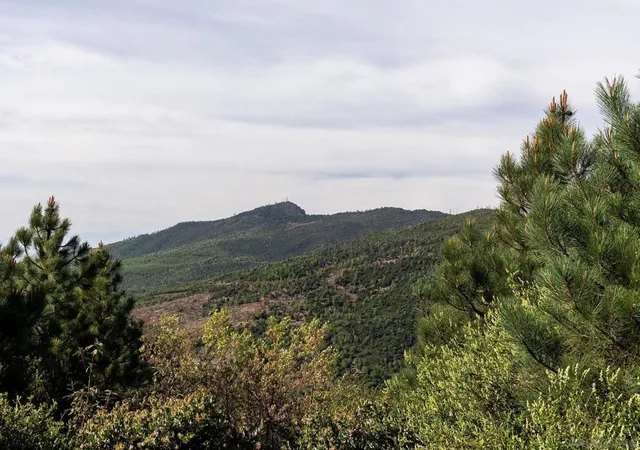 16th image of 15962 North Peak Rd, Julian, CA 92036 | MLS# 260008171SD