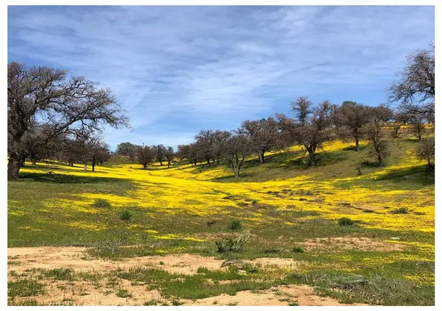 26th image of 34707 Sand Canyon Rd, Caliente, CA 93518 | MLS# SR26074961