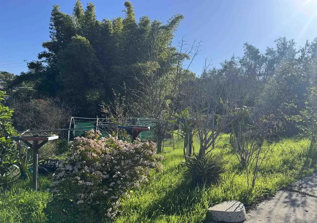 3rd image of 9317 Lamar Street, Spring Valley, CA 91977 | MLS# 260008308SD