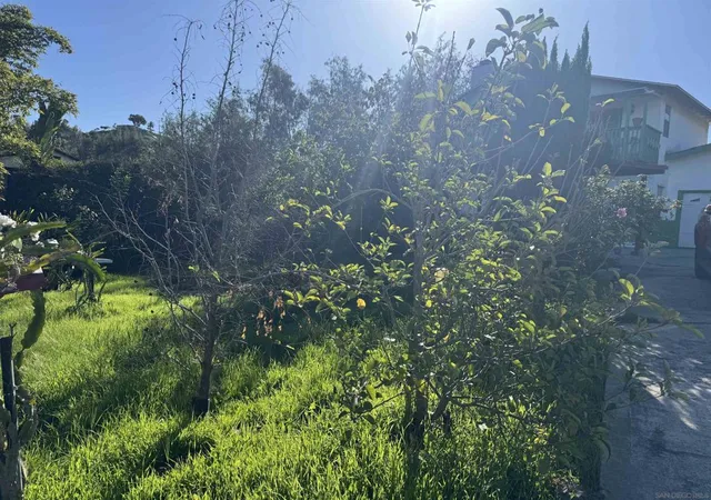 4th image of 9317 Lamar Street, Spring Valley, CA 91977 | MLS# 260008308SD