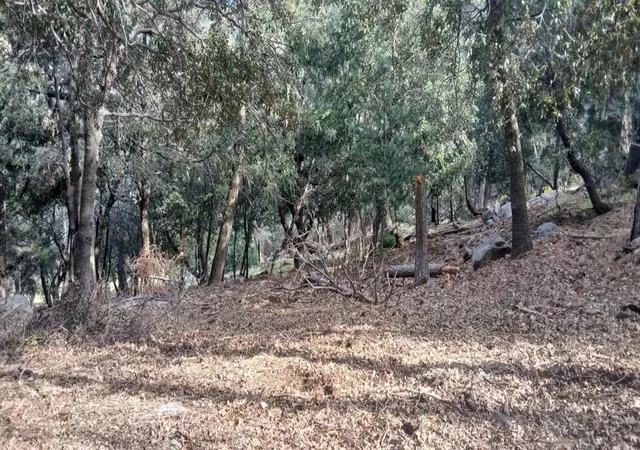 1st image of 0 Alder Creek Rd, Crestline, CA 92325 | MLS# 219146131DA