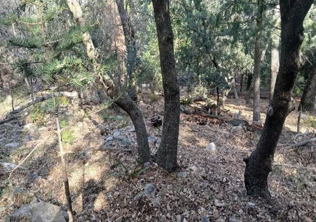 2nd image of 0 Alder Creek Rd, Crestline, CA 92325 | MLS# 219146131DA