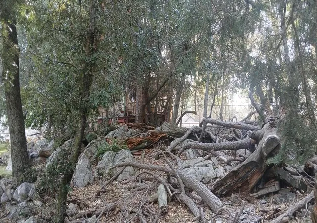 3rd image of 0 Alder Creek Rd, Crestline, CA 92325 | MLS# 219146131DA