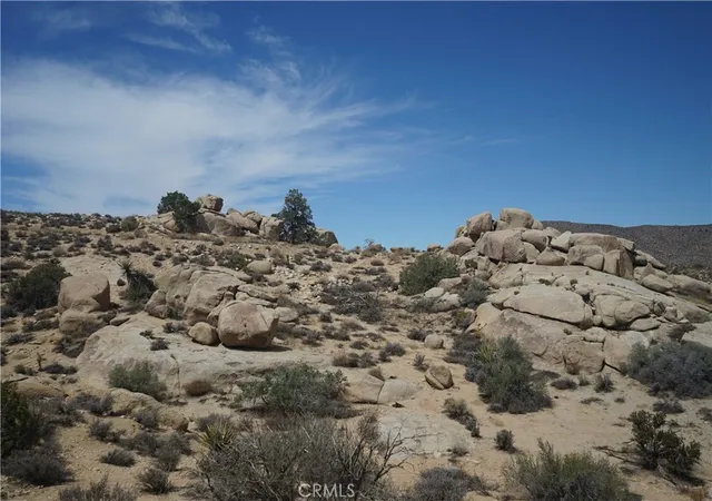 2nd image of 52588 Blackbrush Rd, Pioneertown, CA 92268 | MLS# JT26066572