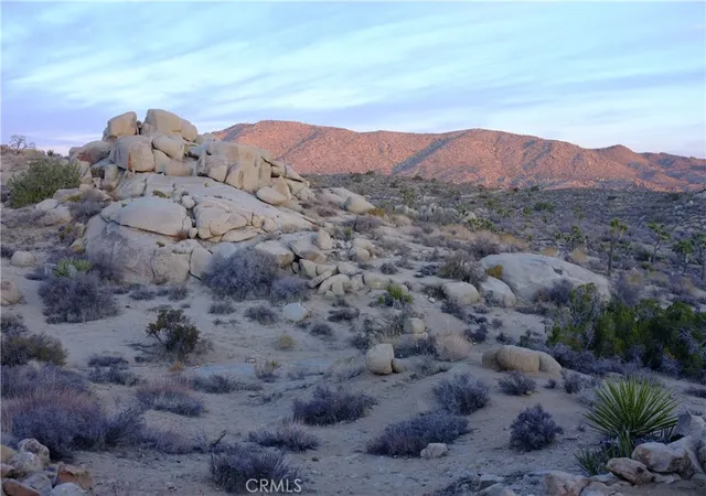 5th image of 52588 Blackbrush Rd, Pioneertown, CA 92268 | MLS# JT26066572