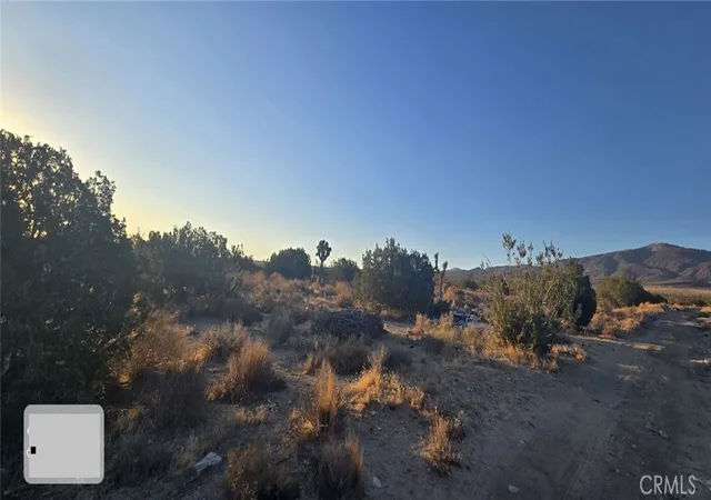 4th image of 26000 Avenue W, Llano, CA 93544 | MLS# DW26077657