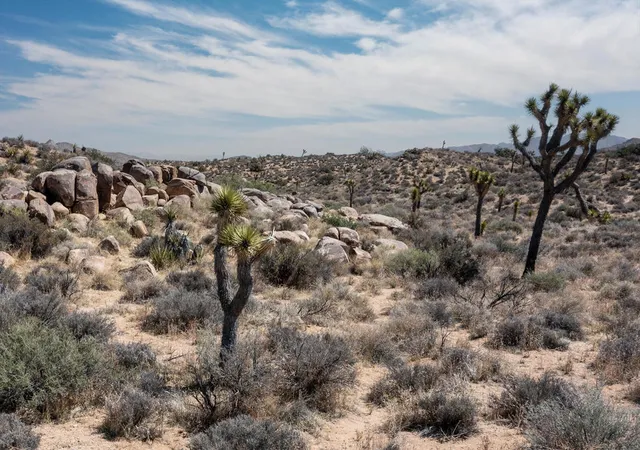 1st image of 101 Hondo St, Pioneertown, CA 92268 | MLS# 219146209PS