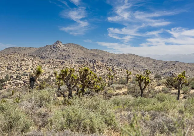 3rd image of 101 Hondo St, Pioneertown, CA 92268 | MLS# 219146209PS