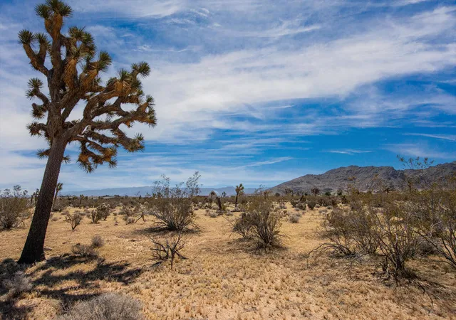 Photo 4 of Land for sale at 60531 Cielito Dr, Joshua Tree, CA 92252 | MLS# 219146242DA | Listing updated on 2026-07-09