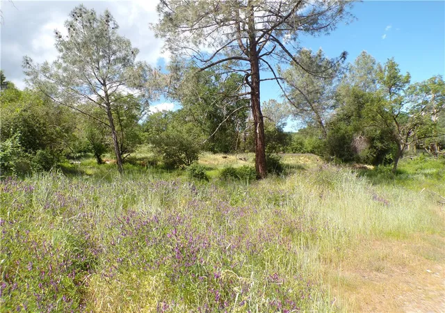 Homes for sale in Clearlake, CA | 14304 Redbud, Clearlake, CA 95422 | MLS# LC26078187