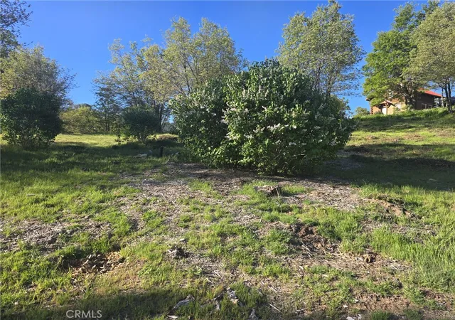 1st image of 29783 Redwood, Cedar Glen, CA 92321 | MLS# IG26078256
