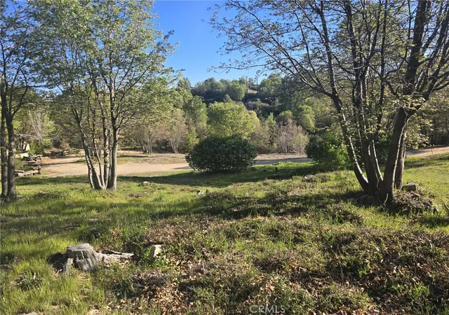 2nd image of 29783 Redwood, Cedar Glen, CA 92321 | MLS# IG26078256