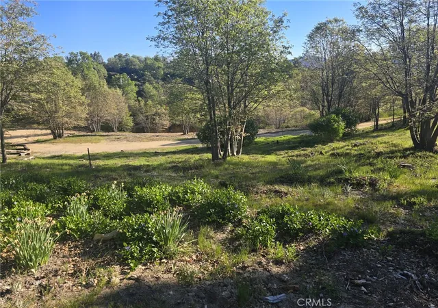5th image of 29783 Redwood, Cedar Glen, CA 92321 | MLS# IG26078256