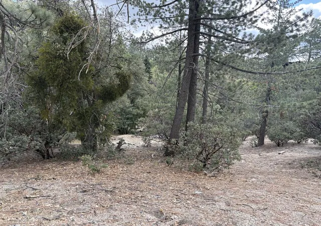Photo 3 of Land for sale at 0 Schaffer Dr, Idyllwild, CA 92549 | MLS# 219146265DA | Listing updated on 2026-09-07