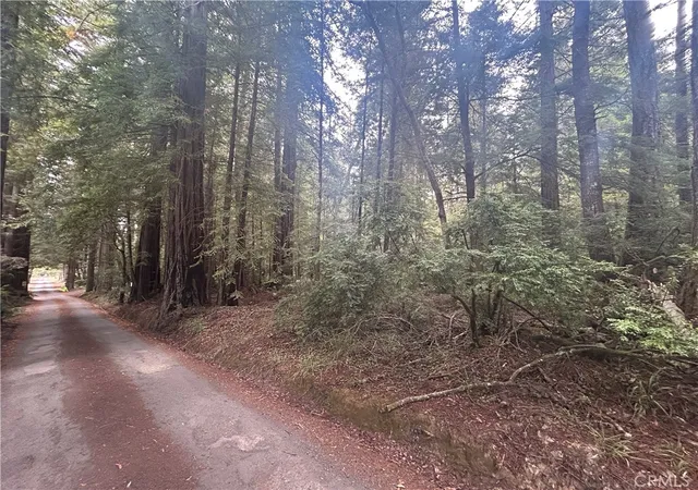 1st image of 0 Law Rd, Mendocino, CA 95460 | MLS# LC26078895