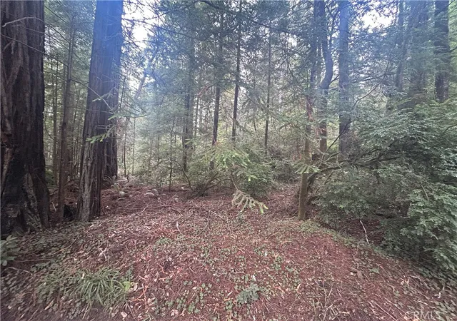 3rd image of 0 Law Rd, Mendocino, CA 95460 | MLS# LC26078895