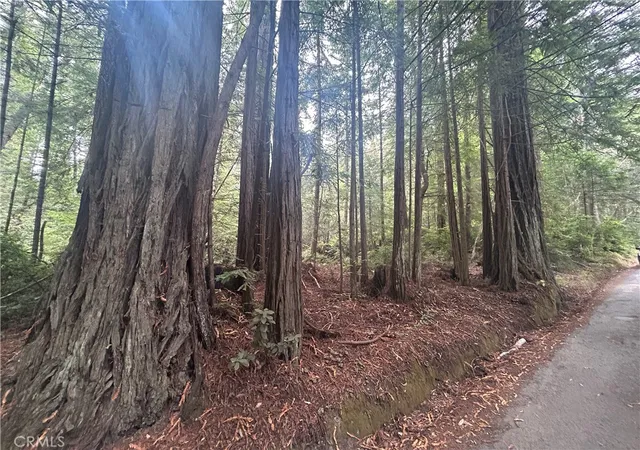4th image of 0 Law Rd, Mendocino, CA 95460 | MLS# LC26078895