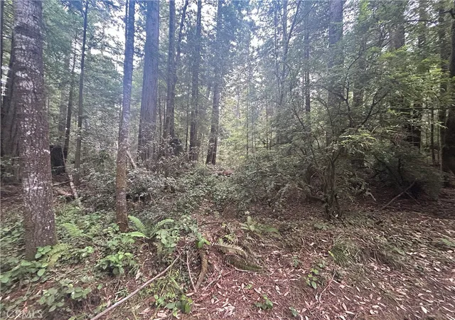 5th image of 0 Law Rd, Mendocino, CA 95460 | MLS# LC26078895