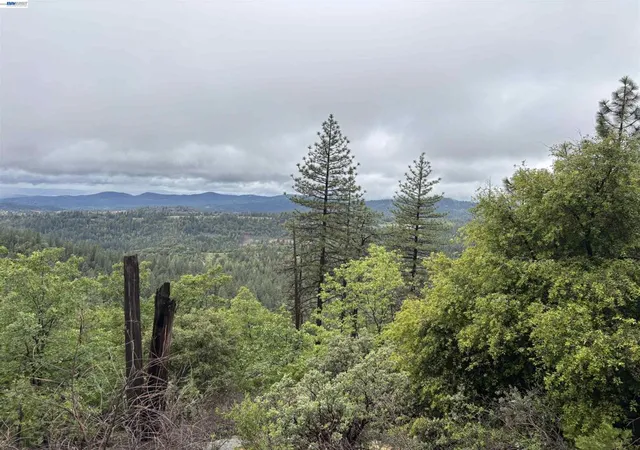 Homes for sale in Twain Harte, CA | 20800 Mount Provo Road, Twain Harte, CA 95383 | MLS# 41130785