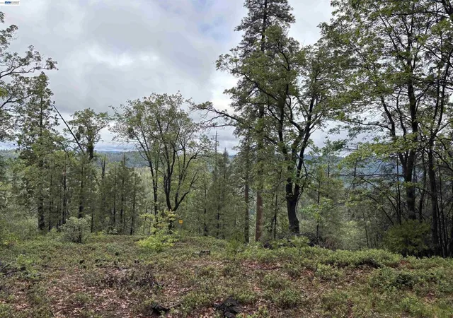 Homes for sale in Twain Harte, CA | 20800 Mount Provo Road, Twain Harte, CA 95383 | MLS# 41130785