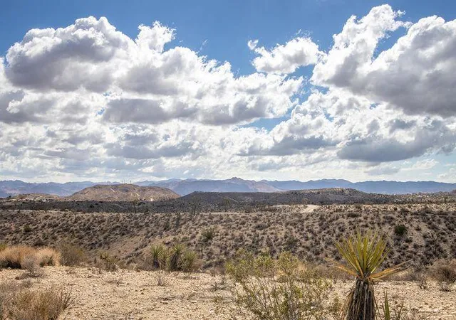 1st image of 57352 Sunflower Dr, Yucca Valley, CA 92284 | MLS# 219146372PS