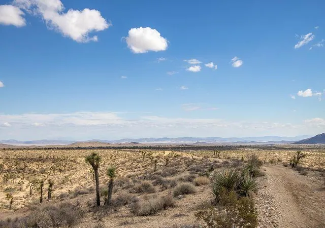 Photo 3 of Land for sale at 57352 Sunflower Dr, Yucca Valley, CA 92284 | MLS# 219146372PS | Listing updated on 2026-04-14
