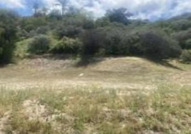 2nd image of 0 Mint Canyon #1, Agua Dulce, CA 91350 | MLS# HD26080867