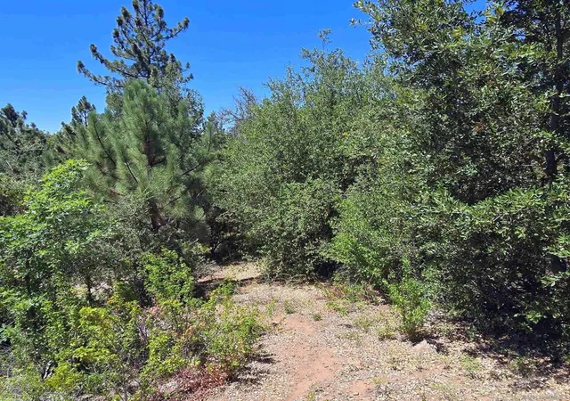 1st image of 0 Smokey Lane, Julian, CA 92036 | MLS# 260008858SD