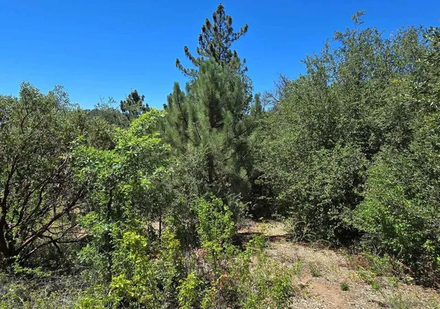 2nd image of 0 Smokey Lane, Julian, CA 92036 | MLS# 260008858SD