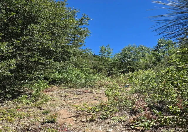 3rd image of 0 Smokey Lane, Julian, CA 92036 | MLS# 260008858SD