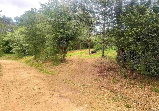 4th image of 0 Smokey Lane, Julian, CA 92036 | MLS# 260008858SD