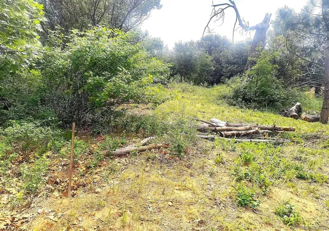 5th image of 0 Smokey Lane, Julian, CA 92036 | MLS# 260008858SD