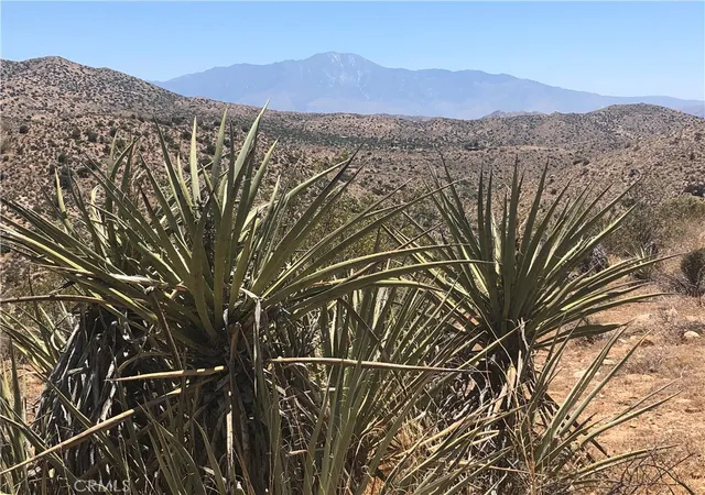 Homes for sale in Yucca Valley, CA | 54575 Navajo Trl, Yucca Valley, CA 92284 | MLS# BB26080410