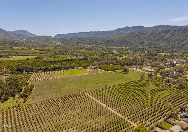 40th image of 1201 Grand Ave, Ojai, CA 93023 | MLS# V1-35833
