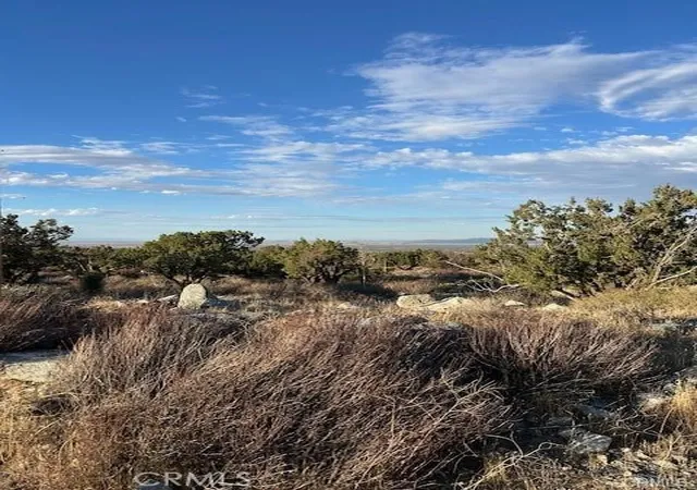 2nd image of 0 Yucca, Pinon Hills, CA 92372 | MLS# HD26082252