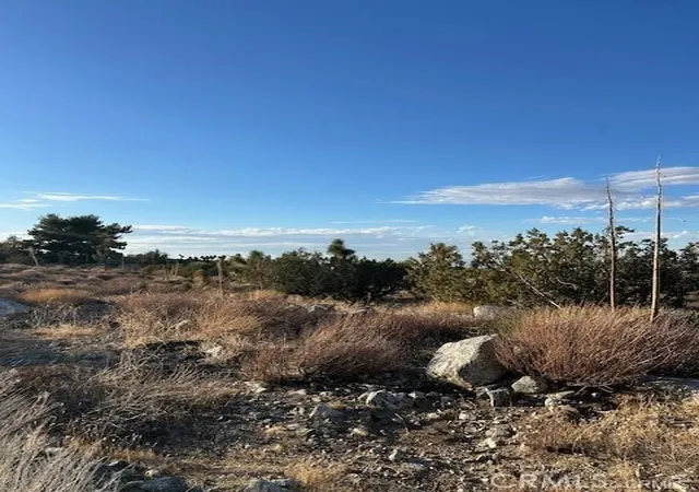 4th image of 0 Yucca, Pinon Hills, CA 92372 | MLS# HD26082252