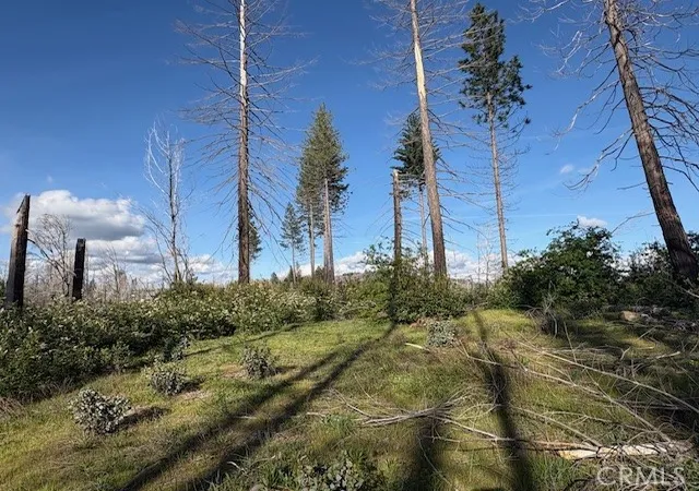 Photo 1 of Land for sale at 4277 Bald Rock Rd, Berry Creek, CA 95916 | MLS# SN26080824 | Listing updated on 2026-06-30
