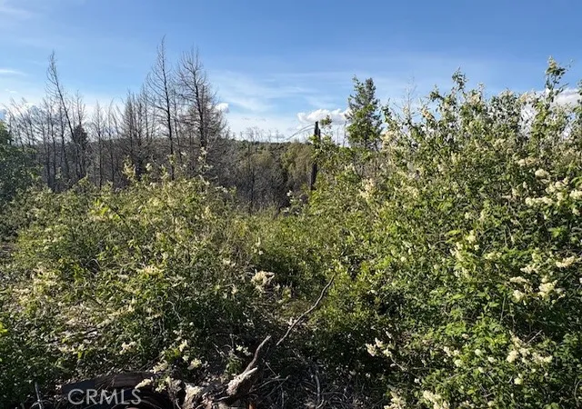 Photo 3 of Land for sale at 4277 Bald Rock Rd, Berry Creek, CA 95916 | MLS# SN26080824 | Listing updated on 2026-06-30
