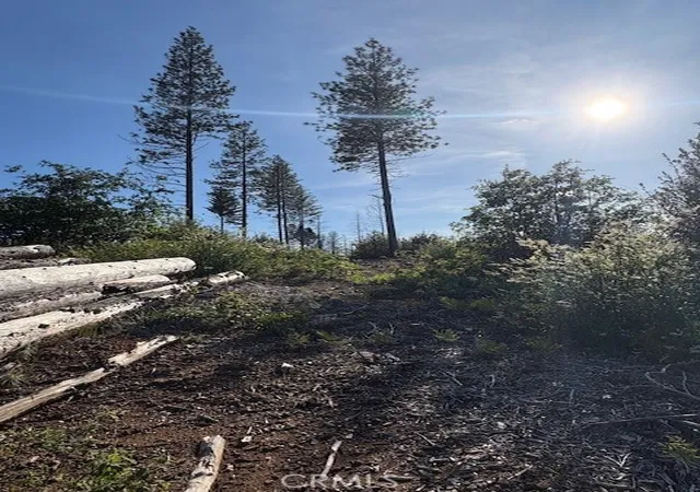 Photo 3 of Land for sale at 4277 Bald Rock Rd, Berry Creek, CA 95916 | MLS# SN26080824 | Listing updated on 2026-06-30